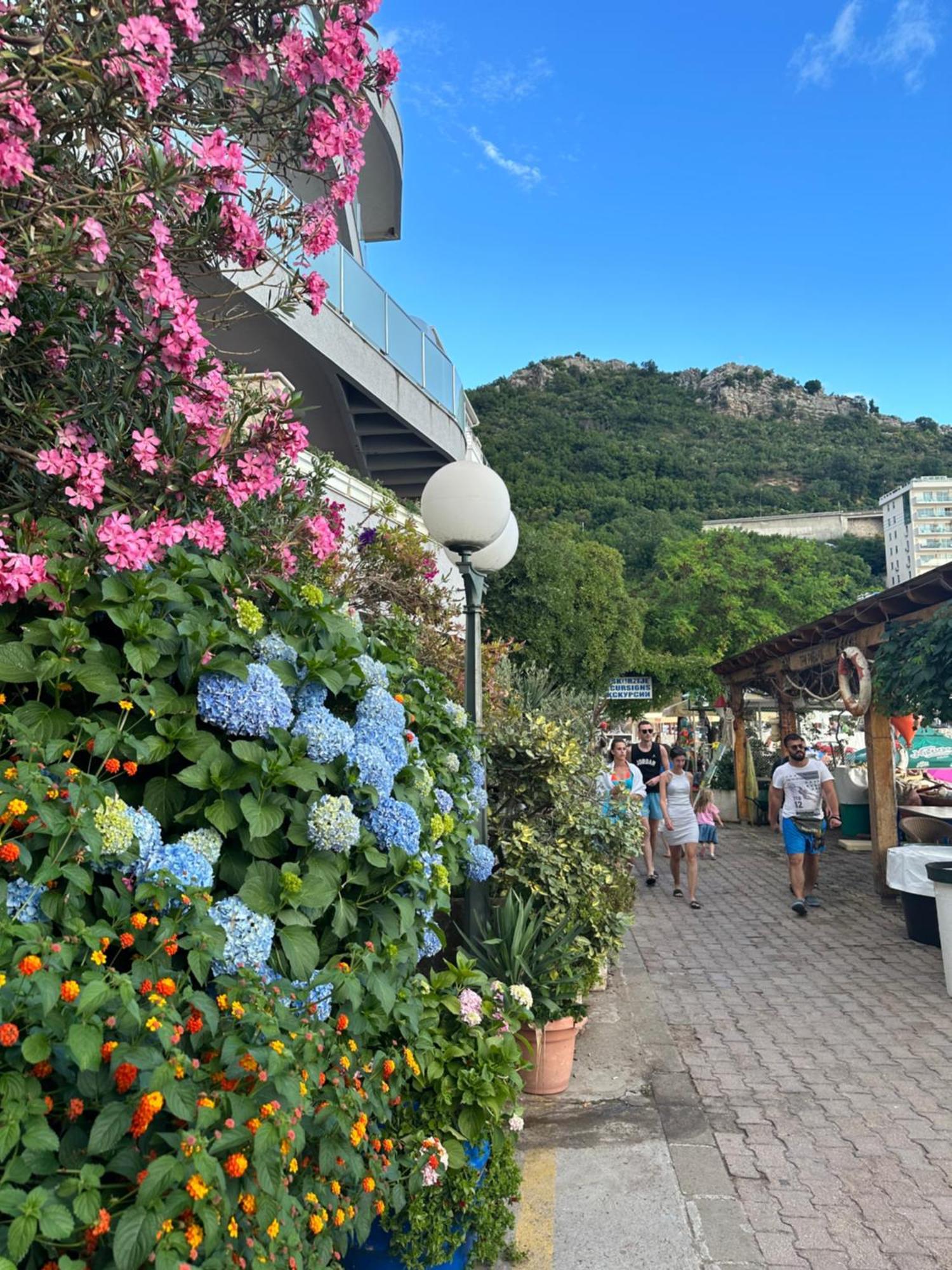 Apartmani Jedro Rafajlovići Exterior foto